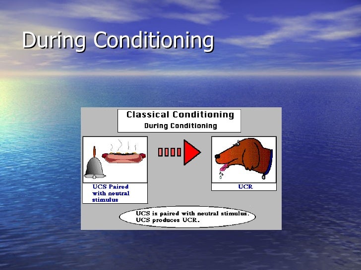 Conditioning Definition