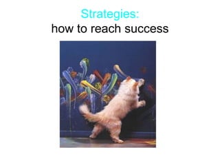 Strategies:
how to reach success
 
