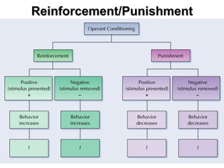 Reinforcement/Punishment
 