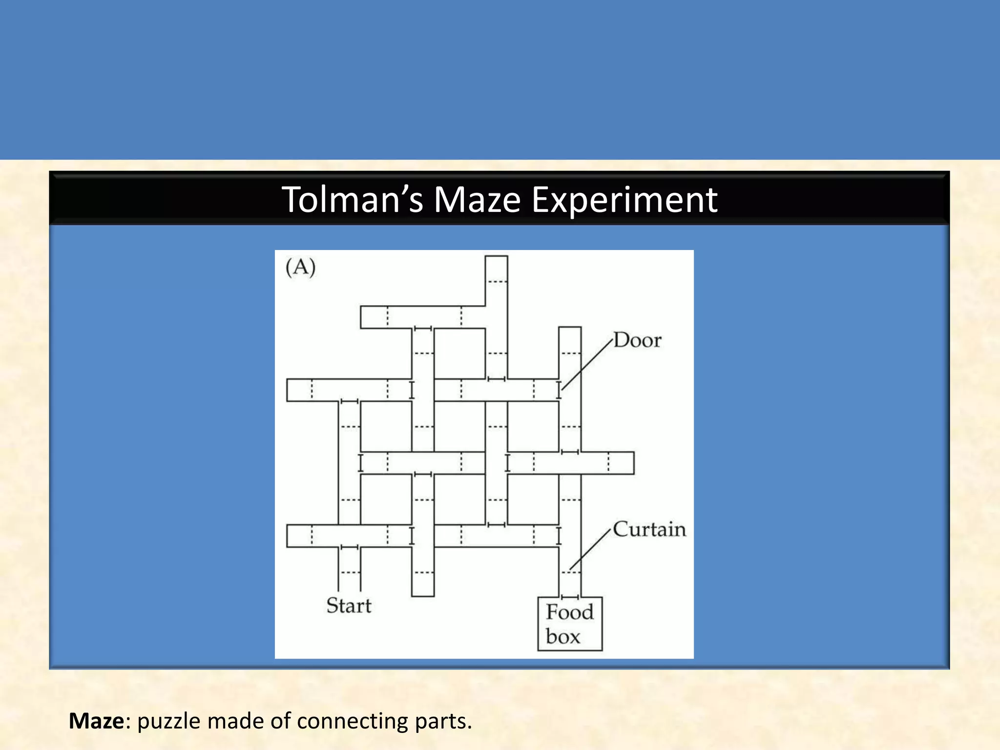 Tolman’s Maze Experiment




Maze: puzzle made of connecting parts.
 