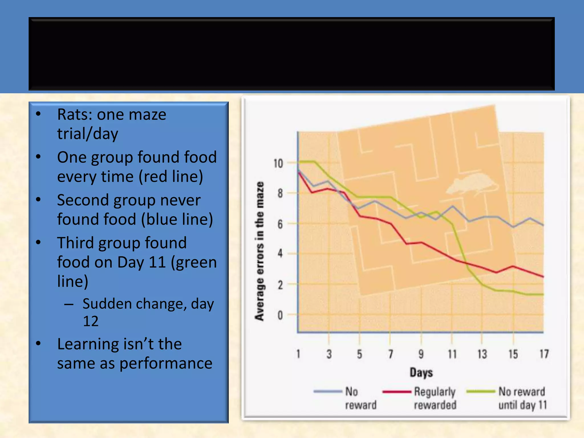 • Rats: one maze
  trial/day
• One group found food
  every time (red line)
• Second group never
  found food (blue line)
• Third group found
  food on Day 11 (green
  line)
   – Sudden change, day
     12
• Learning isn’t the
  same as performance
 
