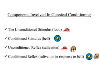 Components Involved In Classical Conditioning


 The Unconditioned Stimulus (food)

 Conditioned Stimulus (bell)

 Unconditioned Reflex (salivation)

 Conditioned Reflex (salivation in response to bell)
 