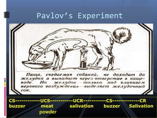 Pavlov’s Experiment




CS------------UCS-----------UCR-----------CS-------------CR
buzzer        meat        salivation     buzzer     Salivation
             powder
 