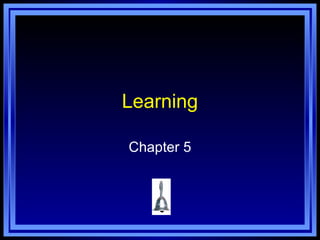 Learning

Chapter 5
 