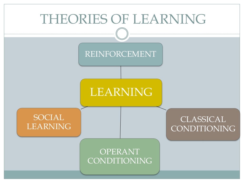 Organizational Behavior Learning