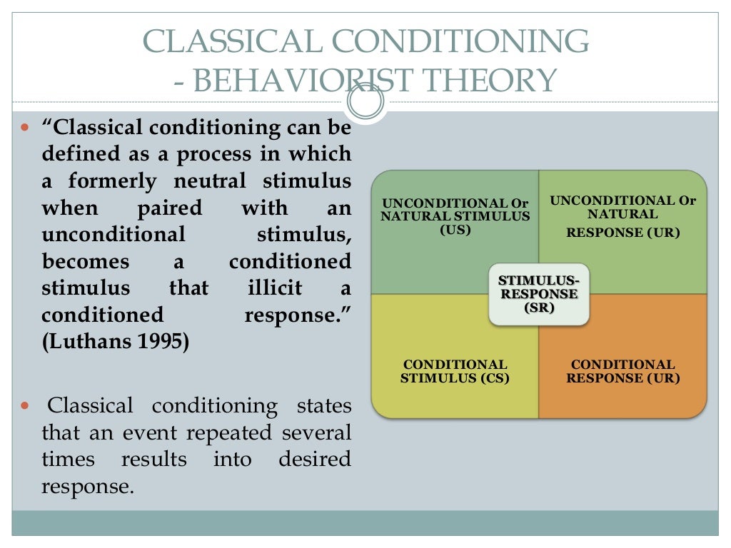 Organizational Behavior Learning