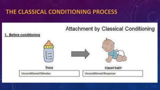 Psychology: Learning | PPTX