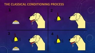Psychology: Learning | PPTX