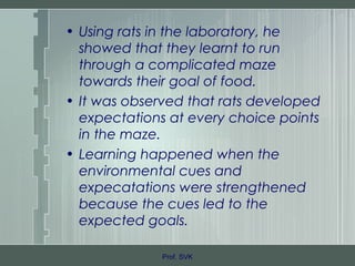 • Using rats in the laboratory, he
showed that they learnt to run
through a complicated maze
towards their goal of food.
• It was observed that rats developed
expectations at every choice points
in the maze.
• Learning happened when the
environmental cues and
expecatations were strengthened
because the cues led to the
expected goals.
Prof. SVK
 