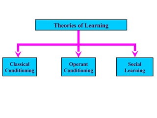 Theories of Learning
Classical
Conditioning
Operant
Conditioning
Social
Learning
 