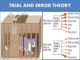 TRIAL AND ERROR THEORY
 