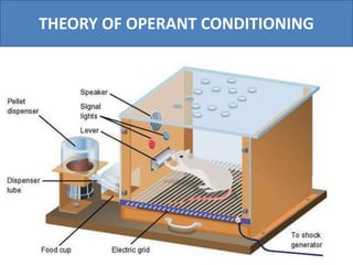 THEORY OF OPERANT CONDITIONING
 