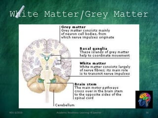 White Matter/Grey Matter
REV. 6/2018 Academic Readiness- Learning--R Speener 36
 
