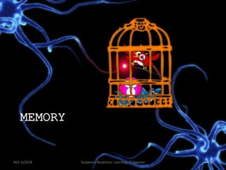 MEMORY
REV. 6/2018 Academic Readiness- Learning--R Speener 48
 