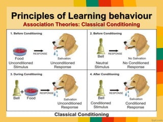Learning Theories | PDF