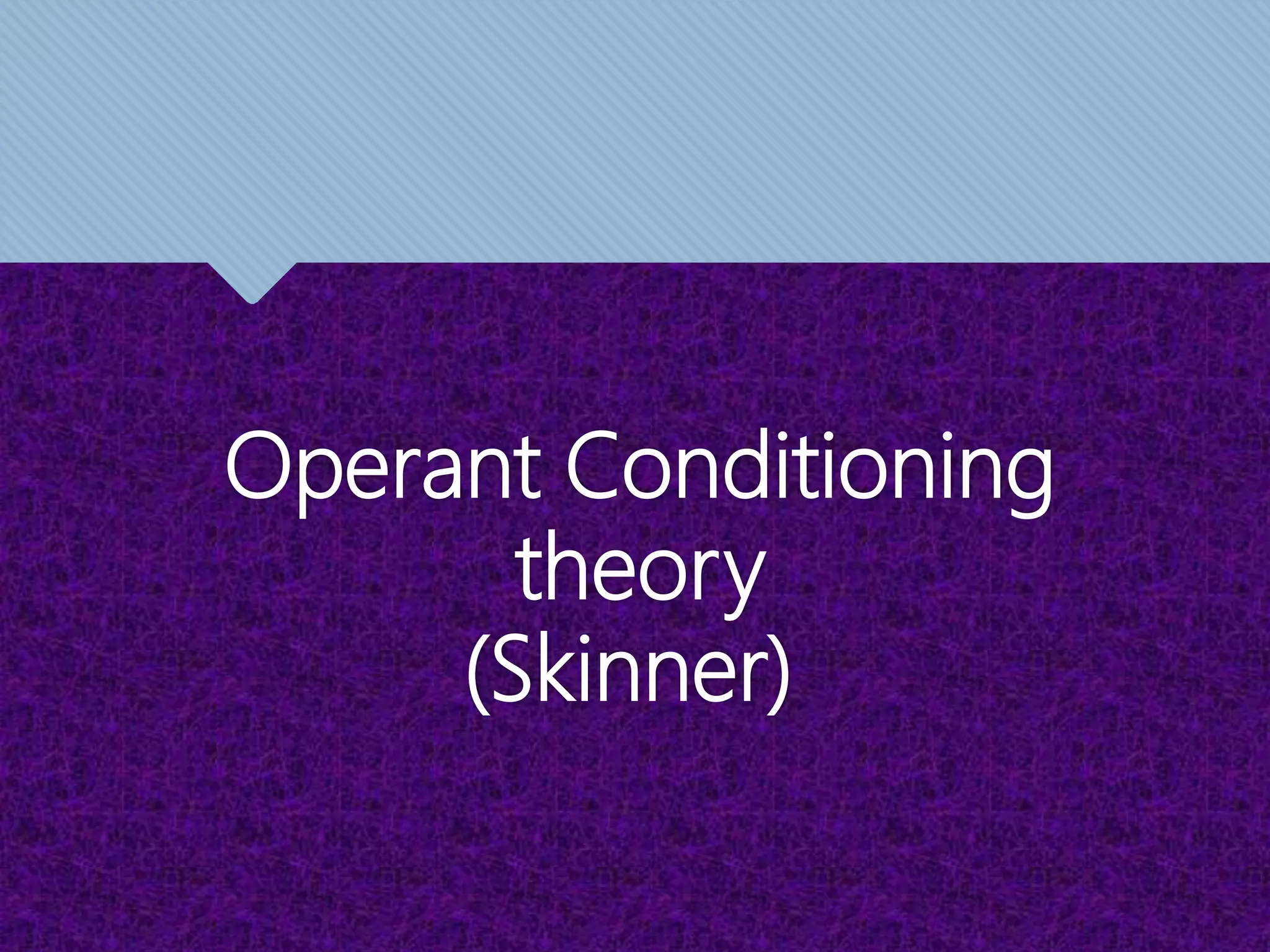 Operant Conditioning
theory
(Skinner)
 