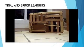 TRIAL AND ERROR LEARNING
 