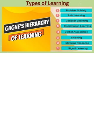 Humanor not? visual data 3