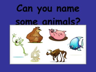 Can you name some animals?