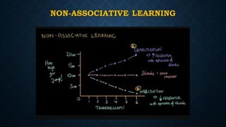 NON-ASSOCIATIVE LEARNING
 