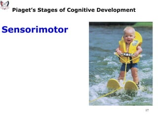 Piaget’s Stages of Cognitive Development Sensorimotor 