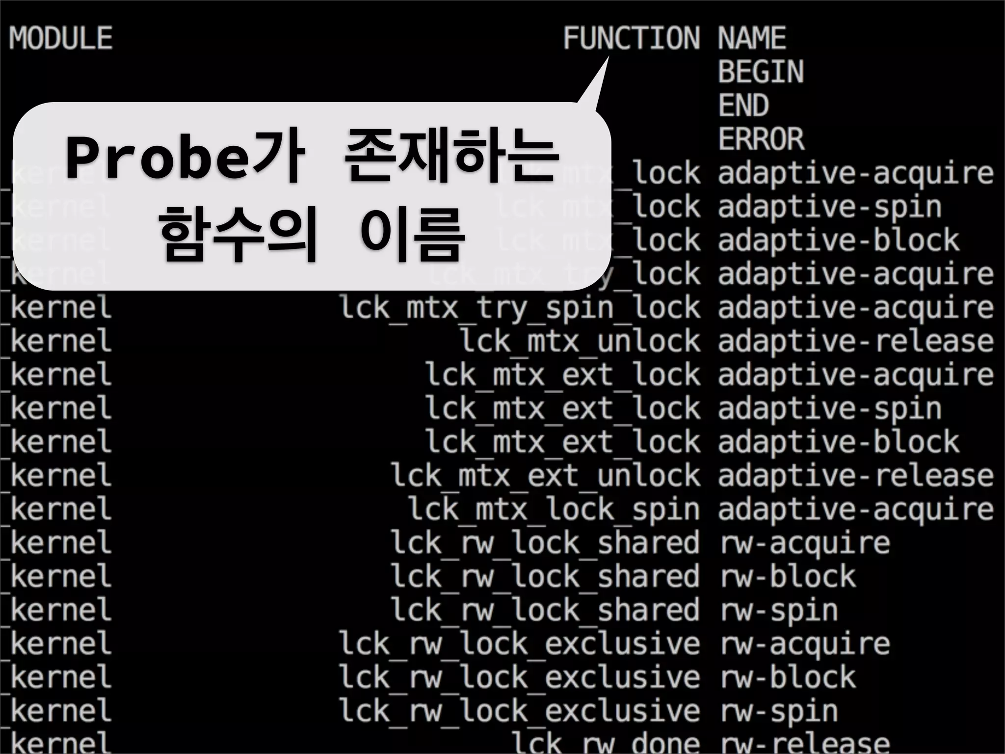 Probe가 존재하는
   함수의 이름
 