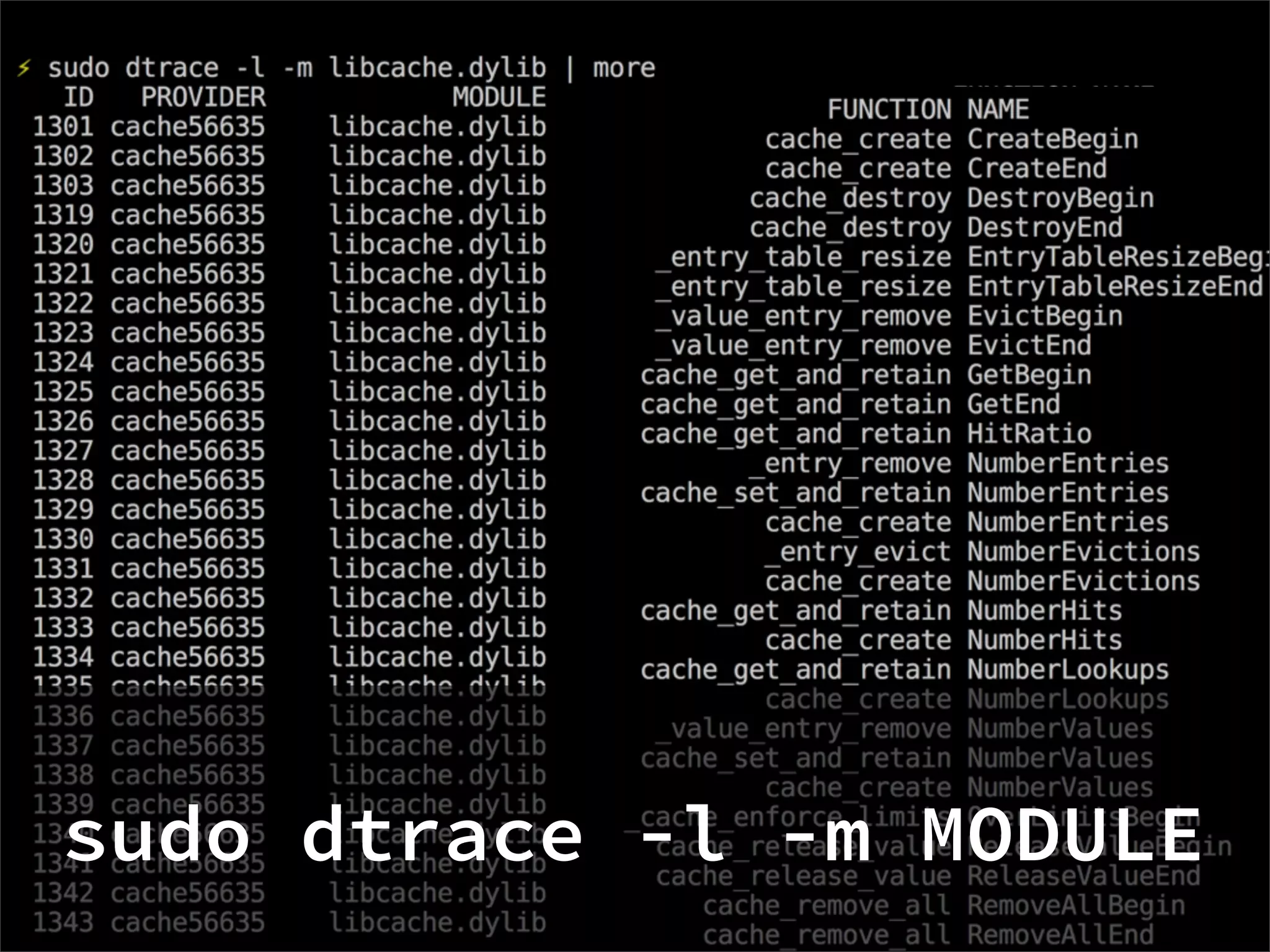 sudo dtrace -l -m MODULE
 