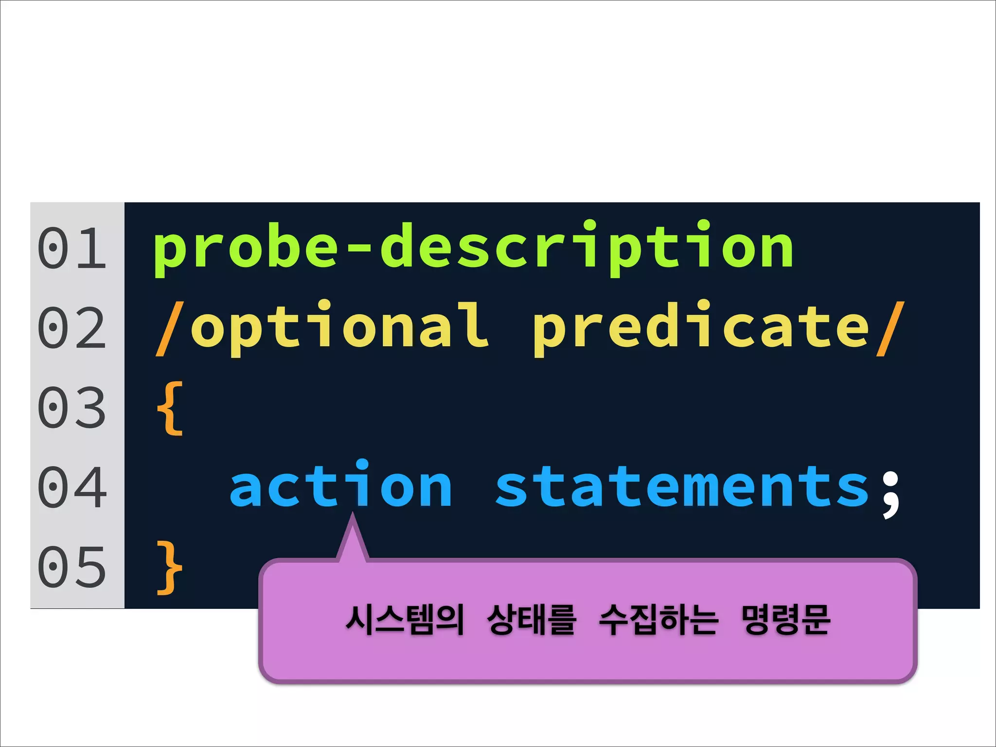 01   probe-description
02   /optional predicate/
03   {
04     action statements;
05   }
          시스템의 상태를 수집하는 명령문
 
