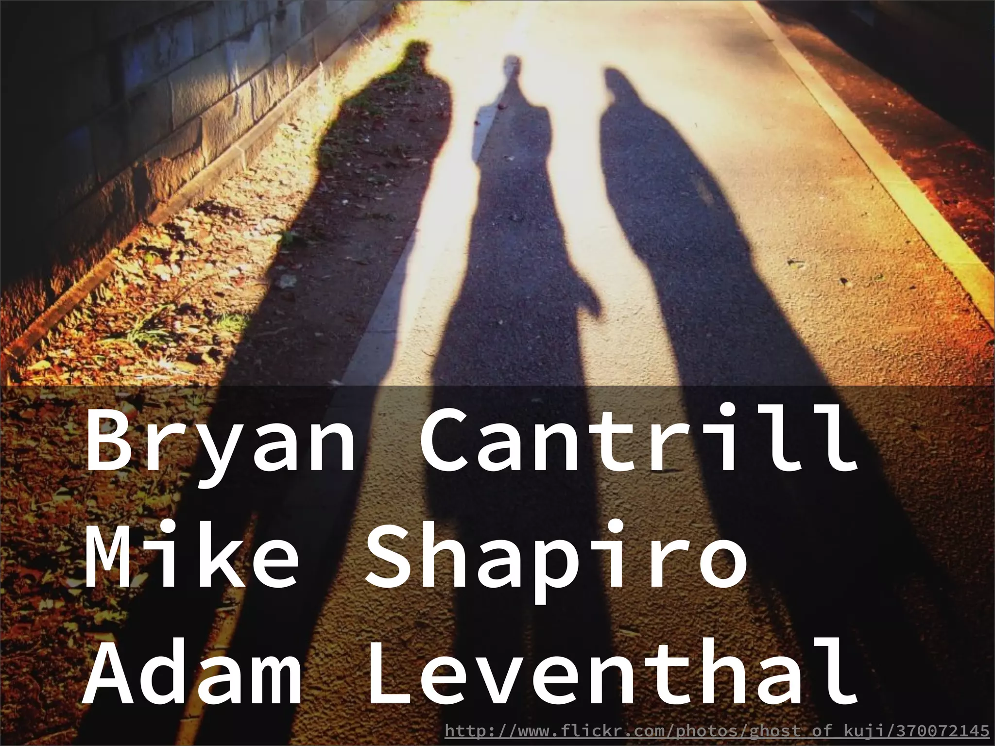 Bryan Cantrill
Mike Shapiro
Adam Leventhal
      http://www.flickr.com/photos/ghost_of_kuji/370072145
 