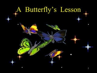 A  Butterfly’s  Lesson 