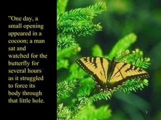 ” One day, a small opening appeared in a cocoon; a man sat and watched for the butterfly for several hours as it struggled to force its body through that little hole. 