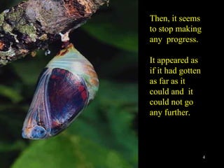 Then, it seems to stop making any  progress. It appeared as if it had gotten as far as it could and  it could not go any further. 