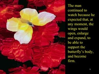 The man continued to watch because he expected that, at any moment, the wings would open, enlarge and expand, to be able to support the butterfly’s body, and become firm. 