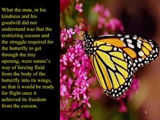 What the man, in his kindness and his goodwill did not understand was that the restricting cocoon and the struggle required for the butterfly to get through the tiny opening, were nature’s way of forcing fluid from the body of the butterfly into its wings, so that it would be ready for flight once it achieved its freedom from the cocoon.  