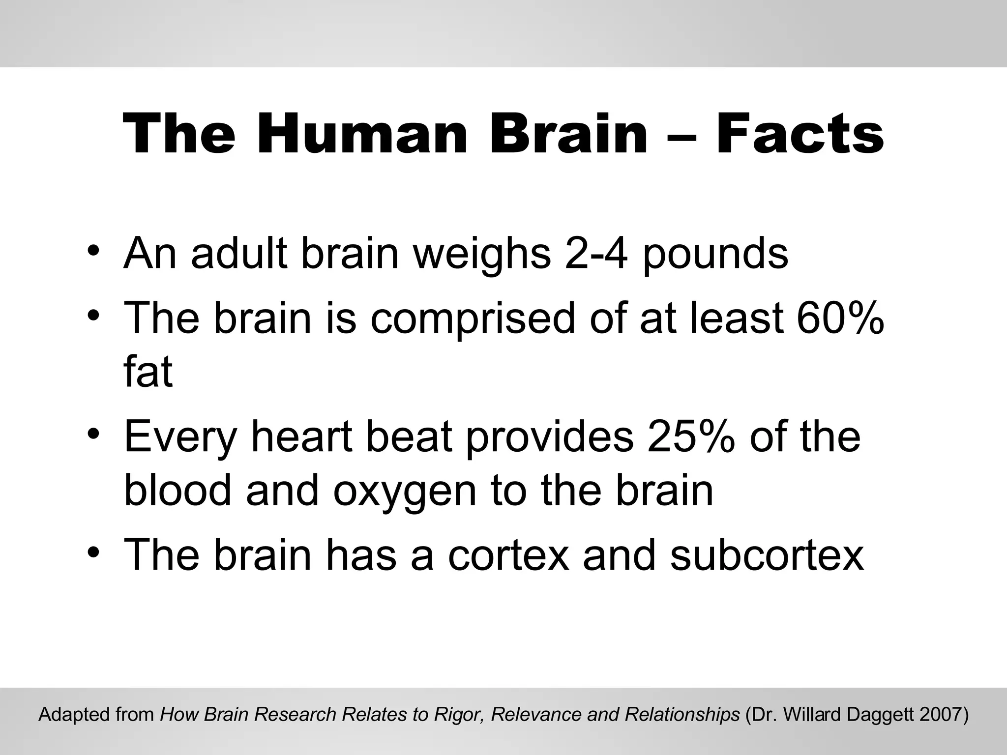 The Human Brain – Facts An adult brain weighs 2-4 pounds The brain is comprised of at least 60% fat  Every heart beat provides 25% of the blood and oxygen to the brain The brain has a cortex and subcortex Adapted from  How Brain Research Relates to Rigor, Relevance and Relationships  (Dr. Willard Daggett 2007) 