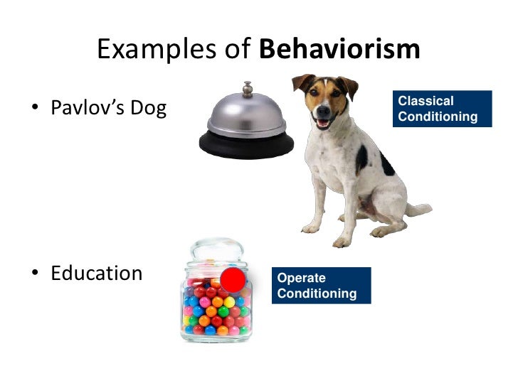 exle of behaviorism learning isms w class notes exle of behaviorism learning isms w class notes