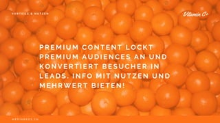 V O R T E I L E & N U T Z E N
P R E M I U M C O N T E N T L O C K T
P R E M I U M A U D I E N C E S A N U N D
K O N V E R T I E R T B E S U C H E R I N
L E A D S . I N F O M I T N U T Z E N U N D
M E H R W E R T B I E T E N !
Vitamin C+
V I T A M I N F R E S H . N E TM E D I A B R O S . C H
 
