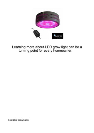 Learning more about LED grow light can be a
       turning point for every homeowner.




best LED grow lights
 