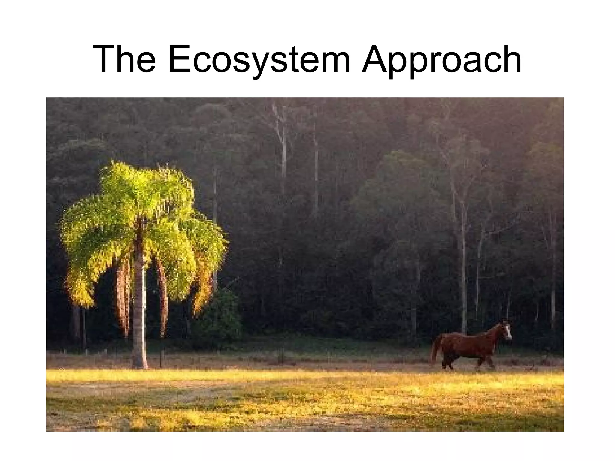 The Ecosystem Approach 