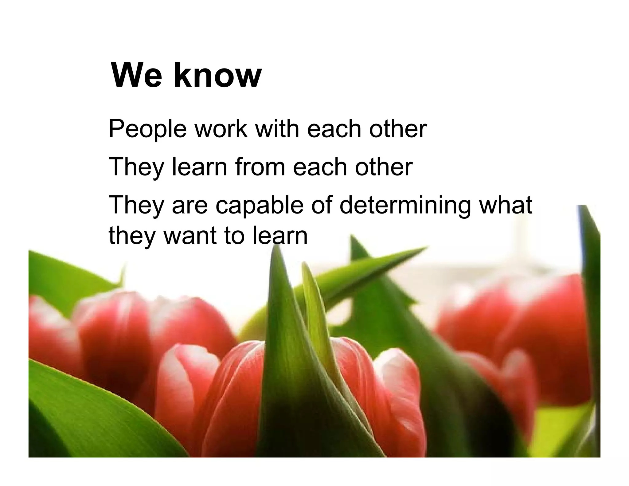 Learning, teaching and Web 2.0