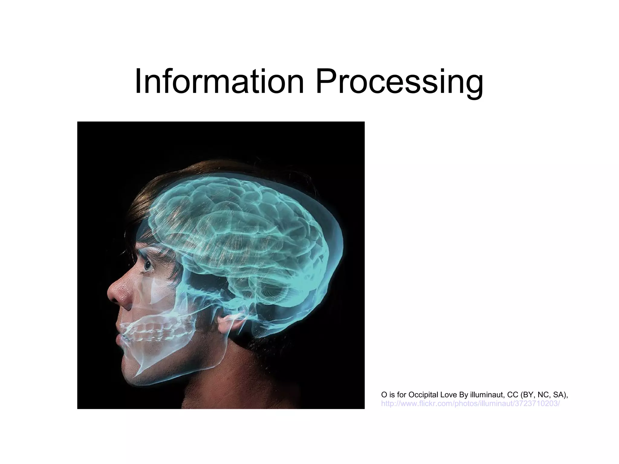 Information Processing




               O is for Occipital Love By illuminaut, CC (BY, NC, SA),
               http://www.flickr.com/photos/illuminaut/3723710203/
 