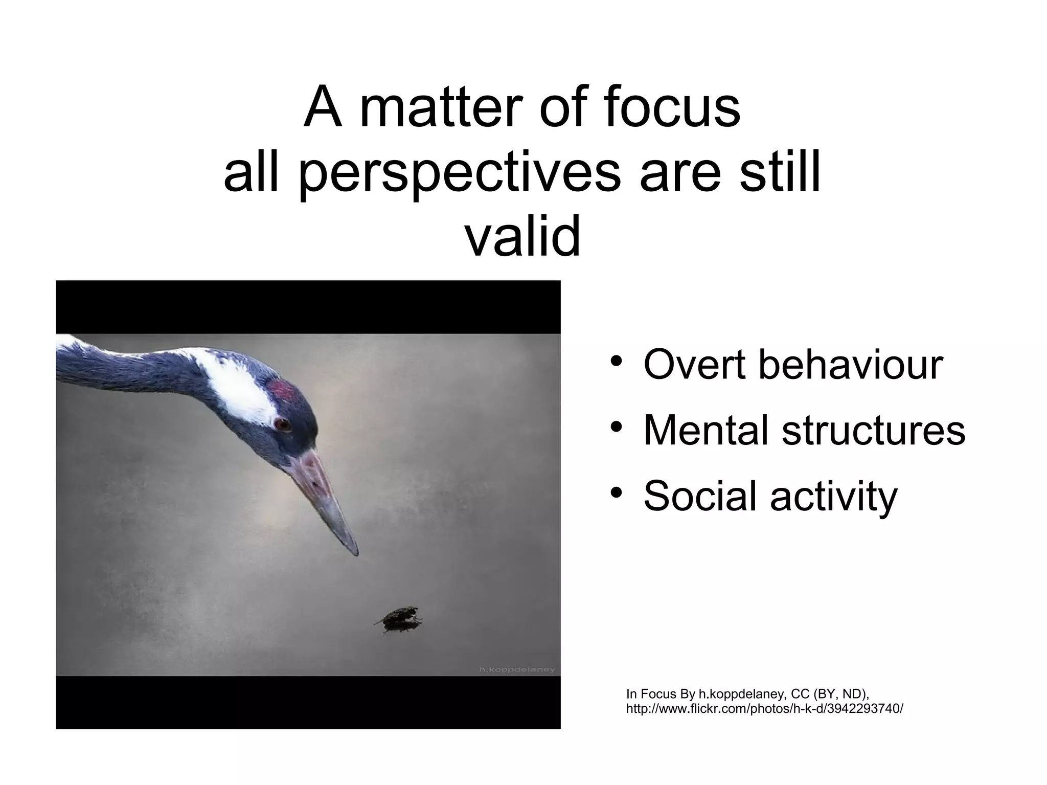A matter of focus
all perspectives are still
          valid
                
                    Overt behaviour
                
                    Mental structures
                
                    Social activity



                 In Focus By h.koppdelaney, CC (BY, ND),
                 http://www.flickr.com/photos/h-k-d/3942293740/
 