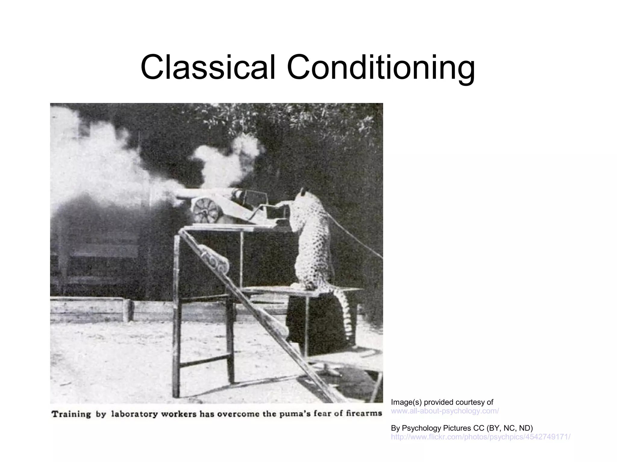 Classical Conditioning




                Image(s) provided courtesy of
                www.all-about-psychology.com/

                By Psychology Pictures CC (BY, NC, ND)
                http://www.flickr.com/photos/psychpics/4542749171/
 