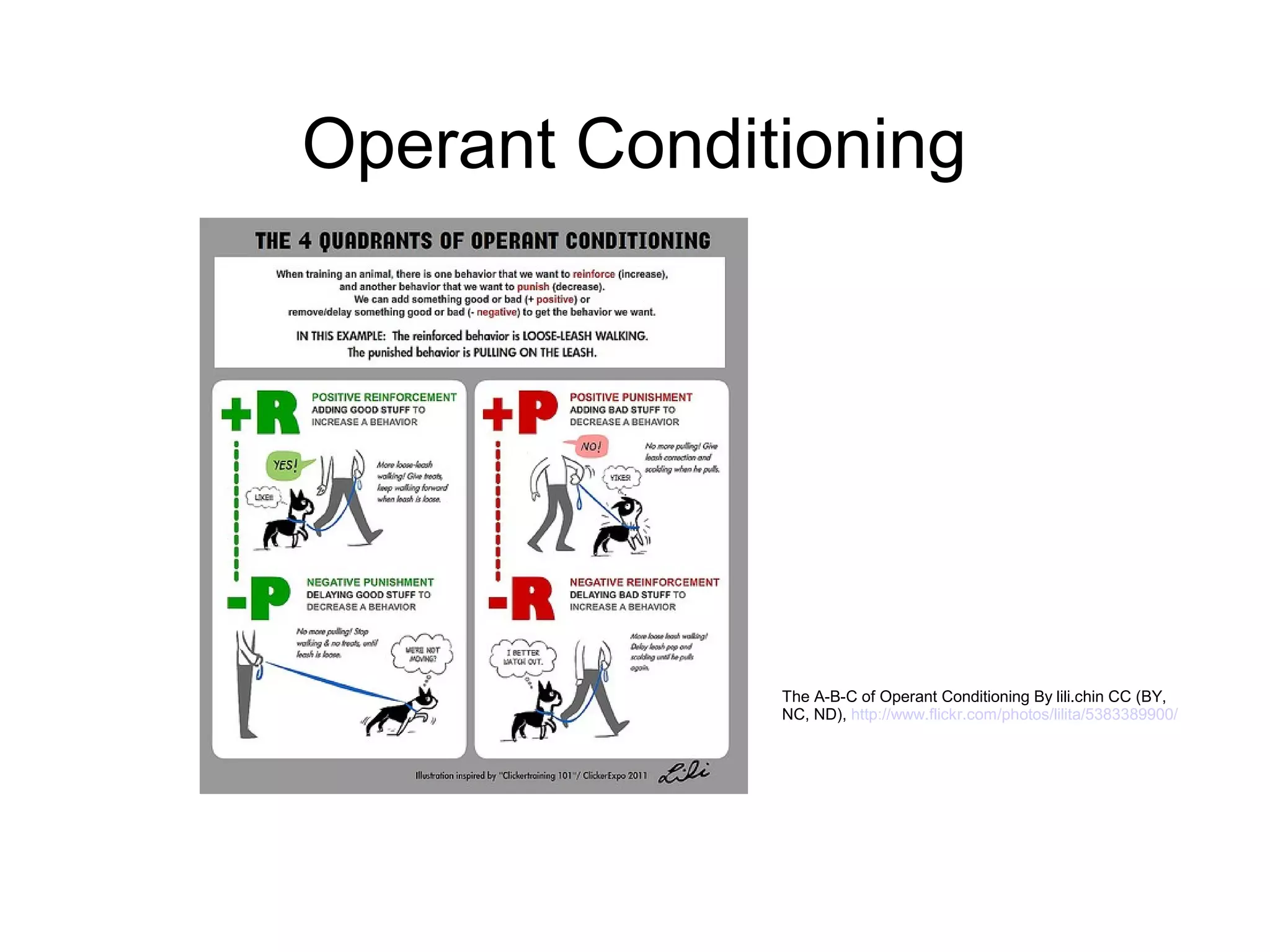Operant Conditioning




              The A-B-C of Operant Conditioning By lili.chin CC (BY,
              NC, ND), http://www.flickr.com/photos/lilita/5383389900/
 