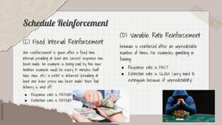 SLIDESMANIA.COM
SLIDESMANIA.COM
Schedule Reinforcement
(C) Fixed Interval Reinforcement
One reinforcement is given after a fixed time
interval providing at least one correct response has
been made. An example is being paid by the hour.
Another example would be every 15 minutes (half
hour, hour, etc.) a pellet is delivered (providing at
least one lever press has been made) then food
delivery is shut off.
● Response rate is MEDIUM
● Extinction rate is MEDIUM
(D) Variable Ratio Reinforcement
behavior is reinforced after an unpredictable
number of times. For examples gambling or
fishing.
● Response rate is FAST
● Extinction rate is SLOW (very hard to
extinguish because of unpredictability)
 