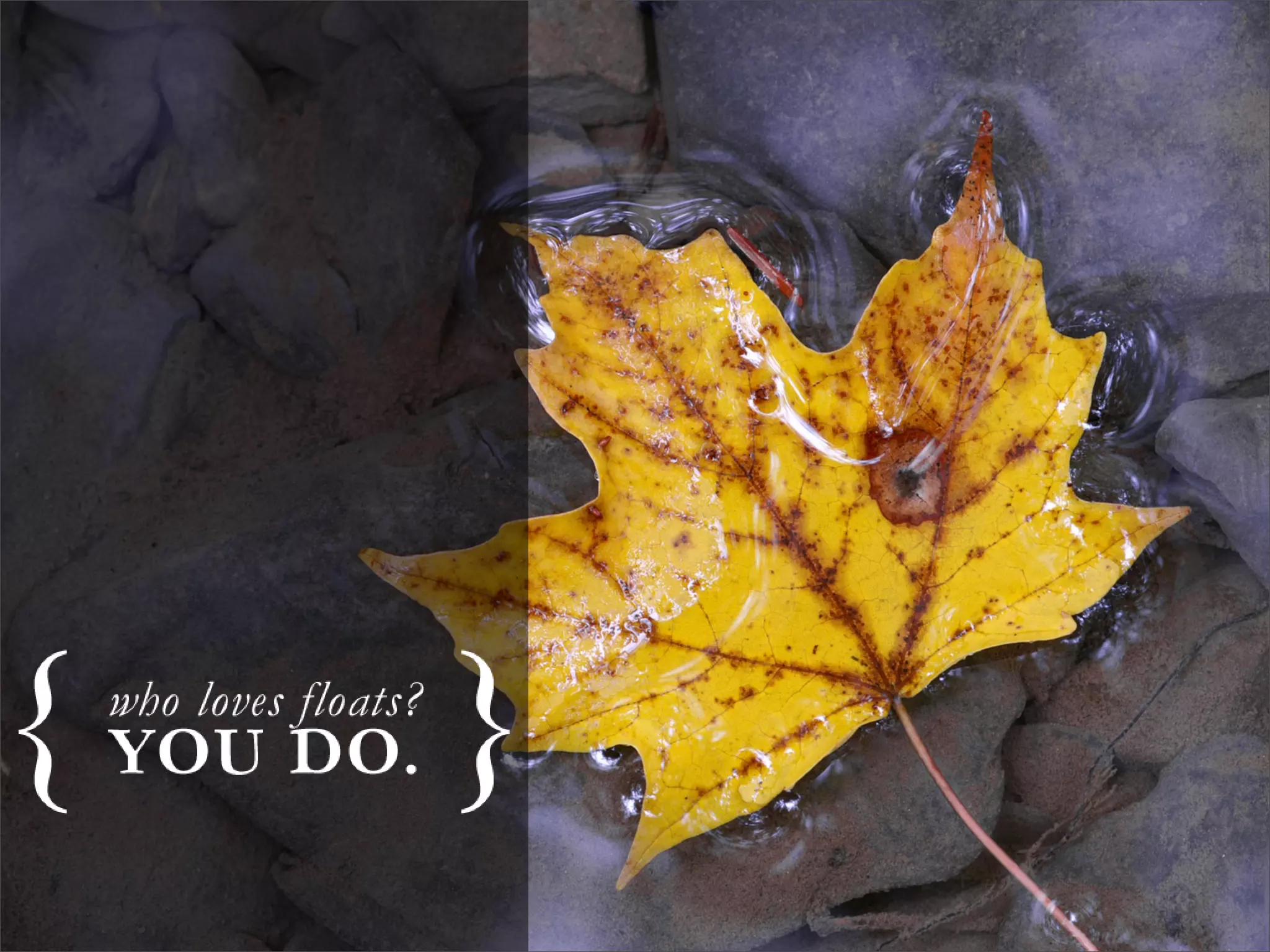 Learning to love absolute CSS positioning...