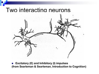 Two interacting neurons




    Excitatory (E) and Inhibitory (I) impulses
  (from Searleman & Searleman, Introduction to Cognition)
 