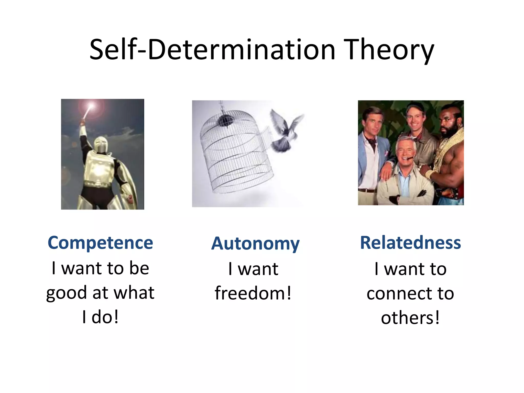 Self-Determination TheoryCompetenceRelatednessAutonomyI want to be good at what I do!I want freedom!I want to connect to others!