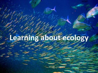 Learning about ecology
 