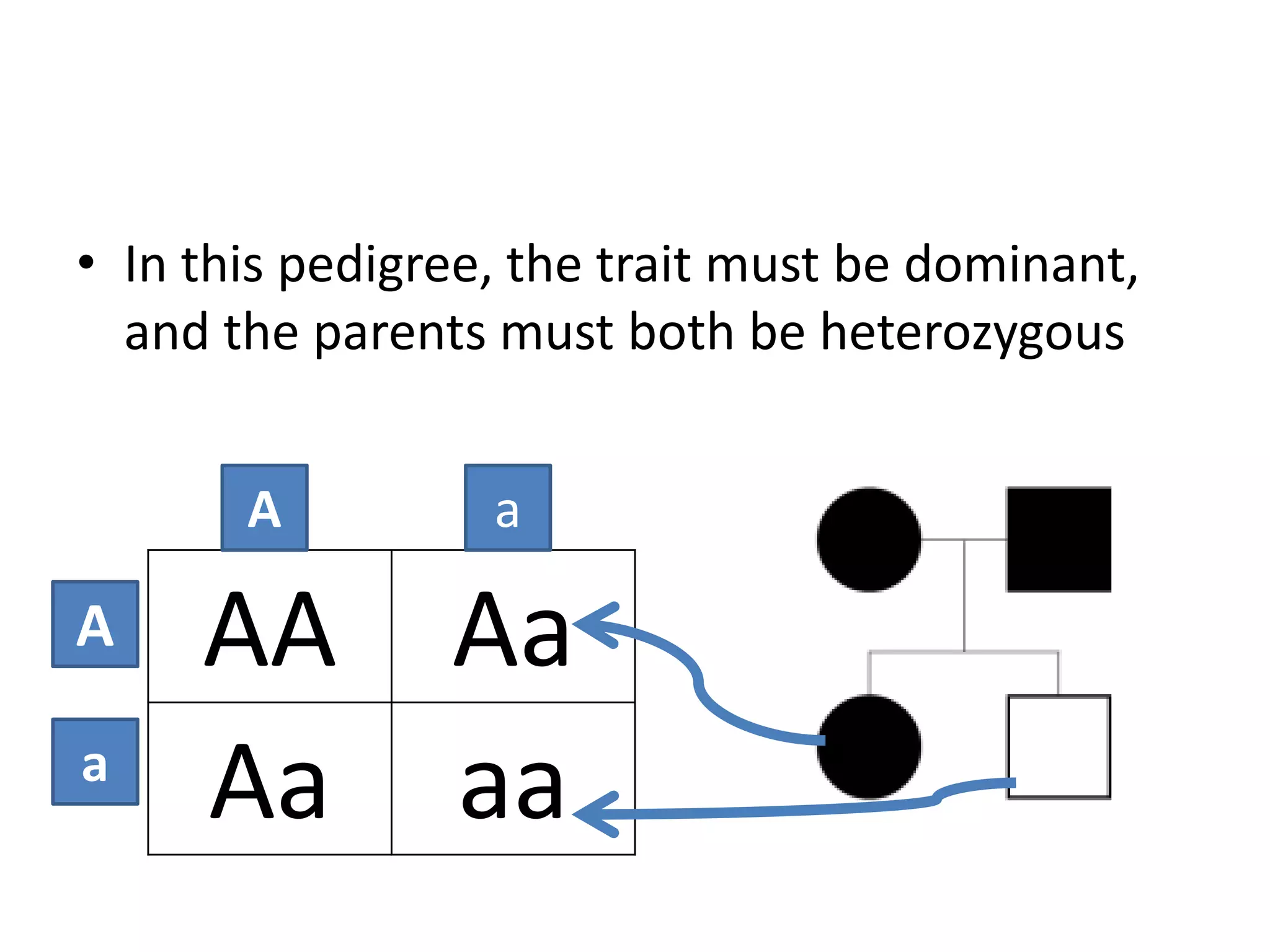 • In this pedigree, the trait must be dominant,
  and the parents must both be heterozygous


       A          a

A    AA Aa
a
     Aa aa
 